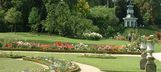 Bois De Boulogne Paris