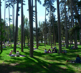 Paris Bois de Boulogne